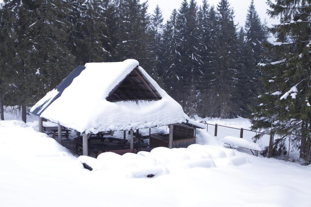 Siwarna Natura Tour Hotel Zakopane Luaran gambar